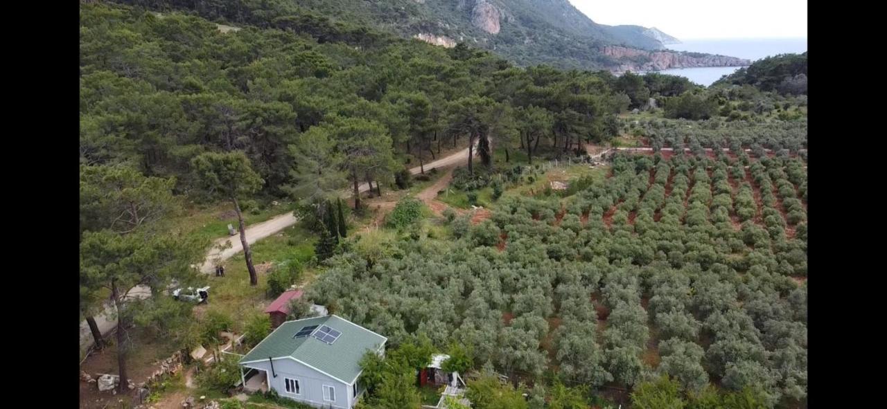 Gelidonia Fenerium Holiday Home Antalya Exterior foto