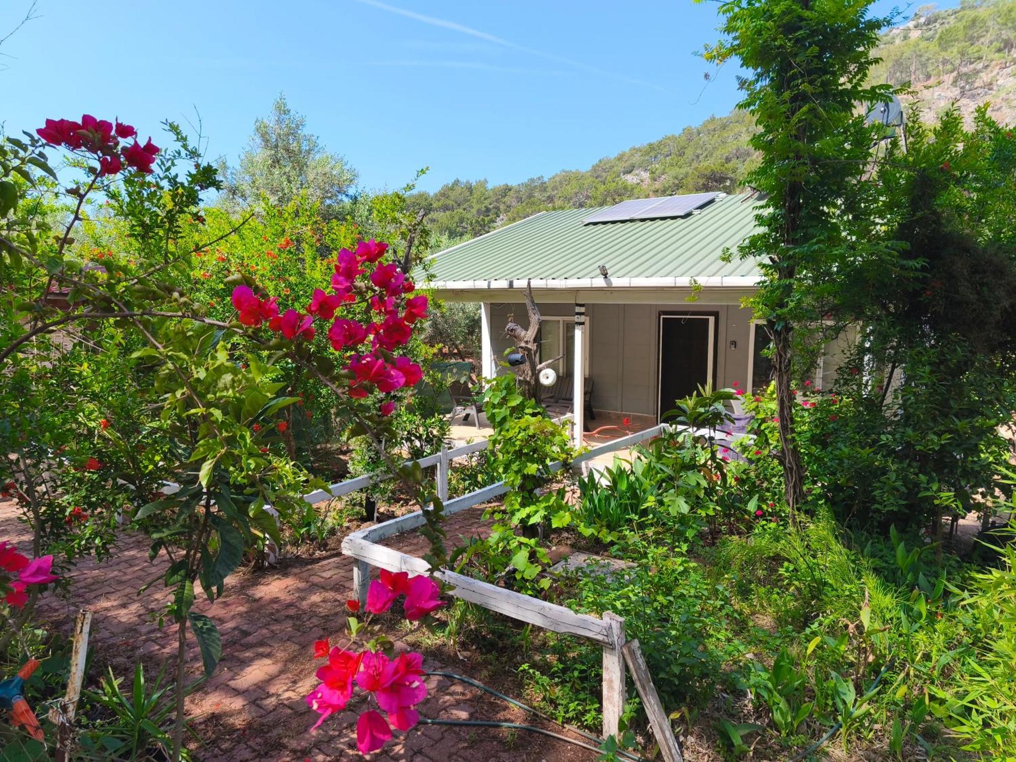 Gelidonia Fenerium Holiday Home Antalya Exterior foto